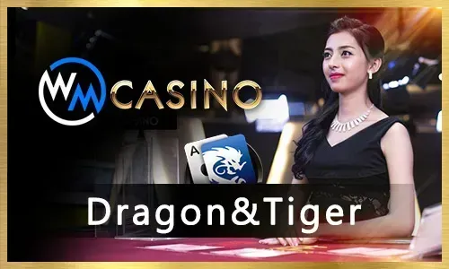 Sports betting stadium